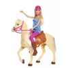 Barbie Doll and Horse, Fashion doll, Female, 3 yr(s), Girl, 250 mm, 480 g