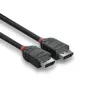 DisplayPort Cable Lindy 2m DisplayPort 1.2 Cable Black Line