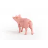 Figure Schleich farm pig model 13933, pink, recommended age 3+