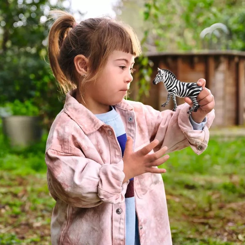 schleich WILD LIFE Zebra female, 3 yr(s), Safari, Wild animals / adventure toys, Multicolour, Plastic, 1 pc(s)