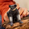 Figure Schleich WILD LIFE Indri Multicolour 14877S Recommended age 3 years