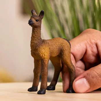 schleich FARM WORLD Llama Foal, 3 yr(s), Farm, Farm animals / farm toys, Multicolour