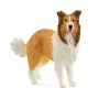 schleich FARM WORLD Collie, 3 yr(s), Farm, Farm animals / farm toys, Multicolour