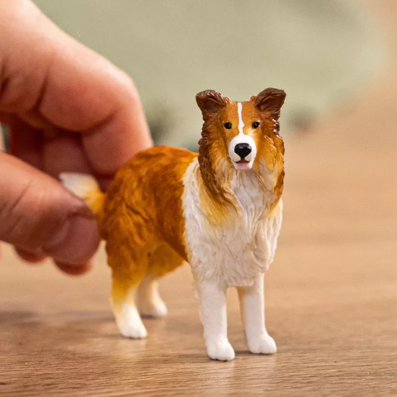 schleich FARM WORLD Collie, 3 yr(s), Farm, Farm animals / farm toys, Multicolour