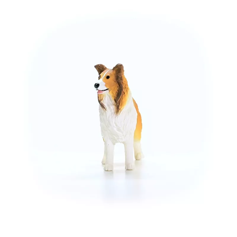 schleich FARM WORLD Collie, 3 yr(s), Farm, Farm animals / farm toys, Multicolour
