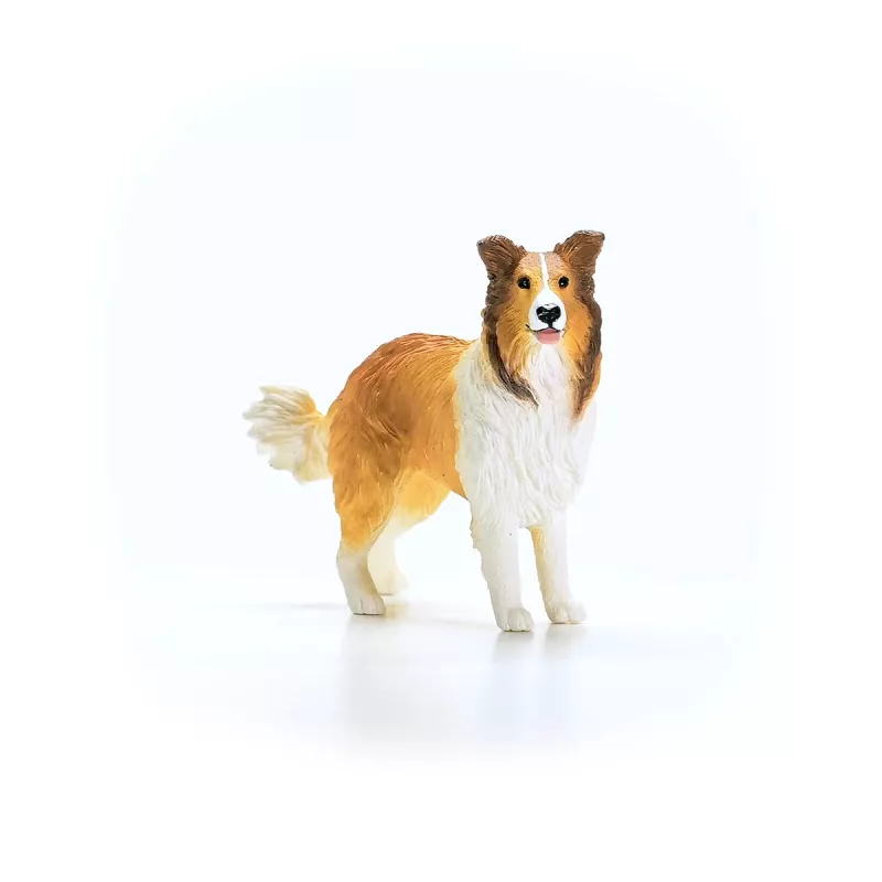 schleich FARM WORLD Collie, 3 yr(s), Farm, Farm animals / farm toys, Multicolour