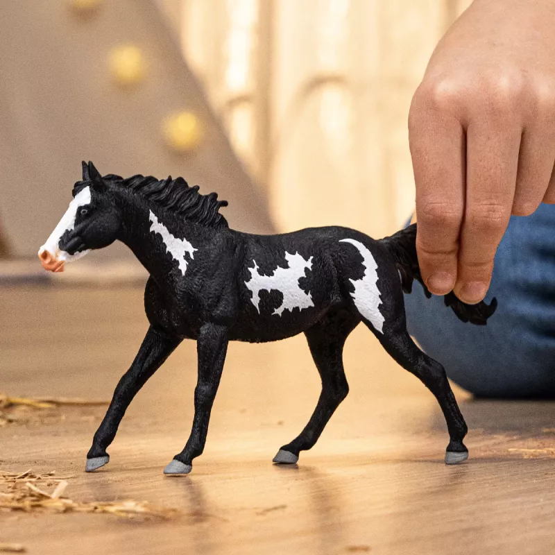 schleich HORSE CLUB Paint Horse Gelding, 5 yr(s), Horses, Multicolour