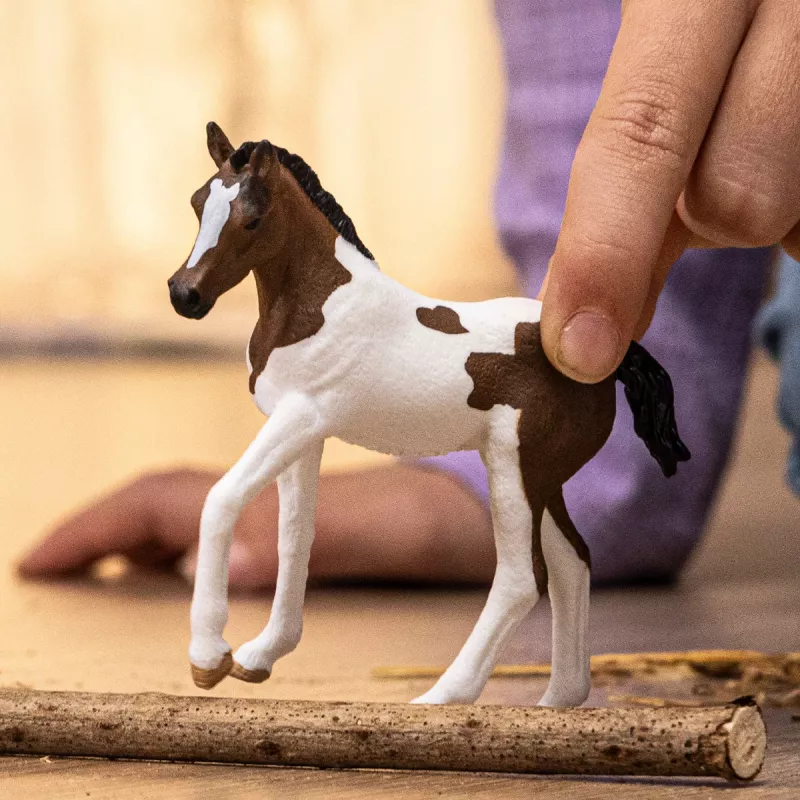 schleich HORSE CLUB Paint Horse Foal, 5 yr(s), Horses, Multicolour