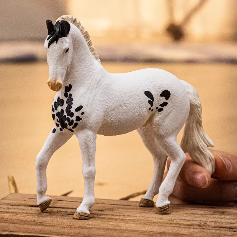 schleich HORSE CLUB Marwari Stallion, 5 yr(s), Horses, Multicolour