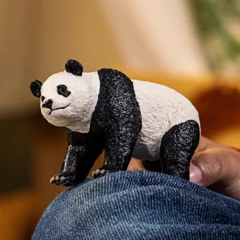 schleich WILD LIFE Giant Panda, 3 yr(s), Jungle, Wild animals / adventure toys, Multicolour