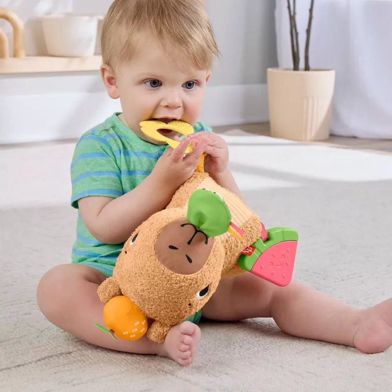 Toy capybara Fisher-Price Snuggly Snacky Capy 0.5 years