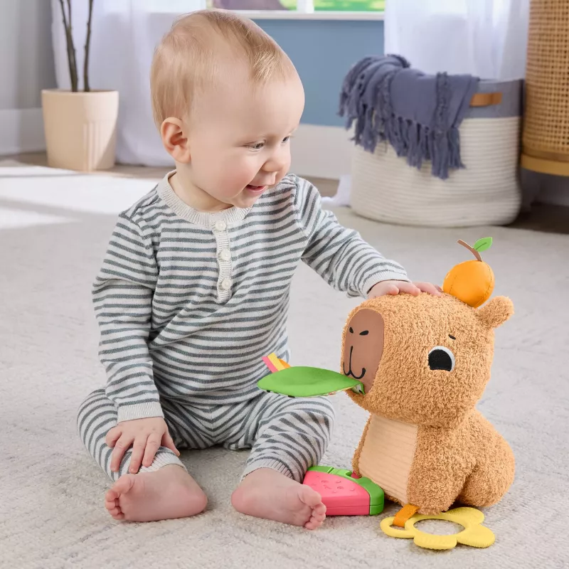 Toy capybara Fisher-Price Snuggly Snacky Capy 0.5 years