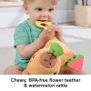 Toy capybara Fisher-Price Snuggly Snacky Capy 0.5 years