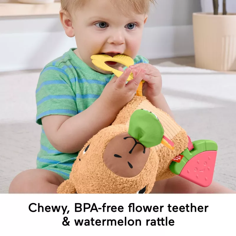 Toy capybara Fisher-Price Snuggly Snacky Capy 0.5 years