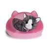 BABY born My Cat Cookie with Box, Doll pet, 3 yr(s), Batteries required