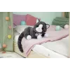 BABY born My Cat Cookie with Box, Doll pet, 3 yr(s), Batteries required