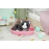 BABY born My Cat Cookie with Box, Doll pet, 3 yr(s), Batteries required