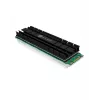 ICY BOX IB-M2HS-701 M.2 NVMe SSD Heatsink/Radiator Black 1 pc(s)