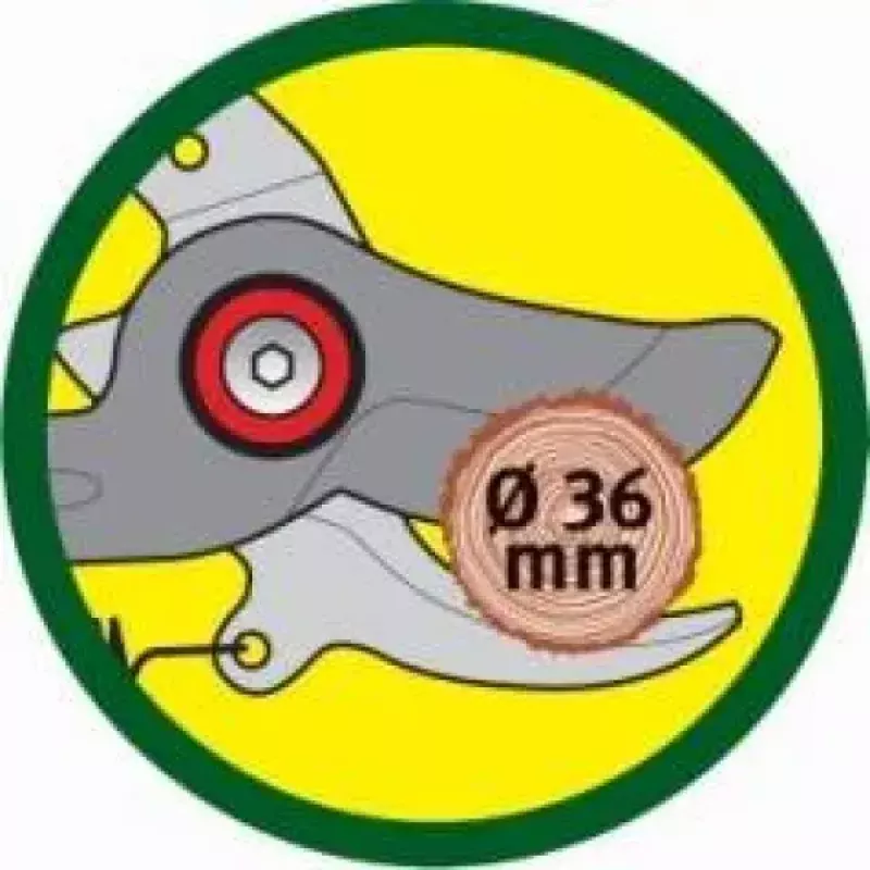 Pruning Shears WOLF-Garten RR-VM