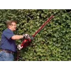 Hedge Trimmer Einhell GC-EH 6055/1