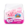 Soft toy Zuru Pets Alive Swimming Axolotls plush toy, toy cat size, model 9556UQ1