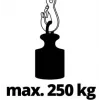 Wire rope hoist Einhell TC-EH 250 500 W 12 m 125 kg