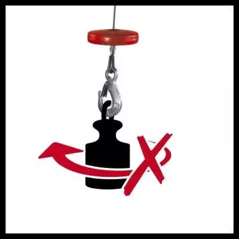 Electric Hoist Einhell TC-EH 500 1000 W 500 kg