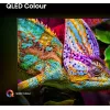 Hisense 85E77Q PRO 2.16 m (85 inch) 4K Ultra HD Smart TV Wi-Fi Black