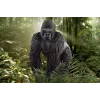 schleich WILD LIFE Gorilla, male, 3 yr(s), Jungle, Wild animals / adventure toys, Multicolour, Plastic