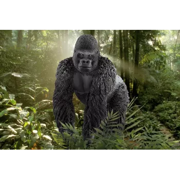 schleich WILD LIFE Gorilla, male, 3 yr(s), Jungle, Wild animals / adventure toys, Multicolour, Plastic