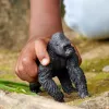 schleich WILD LIFE Gorilla, male, 3 yr(s), Jungle, Wild animals / adventure toys, Multicolour, Plastic