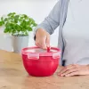 Box EMSA N10605 Round 1.1 L Red Transparent 95 mm 16.7 cm