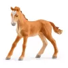 schleich HORSE CLUB Lakeside Riding Center, Farm, Horse Stable, Horses, 5 yr(s), Multicolour, Plastic