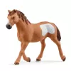 schleich Cowgirl Team Roping Fun, 3 yr(s), Multicolour