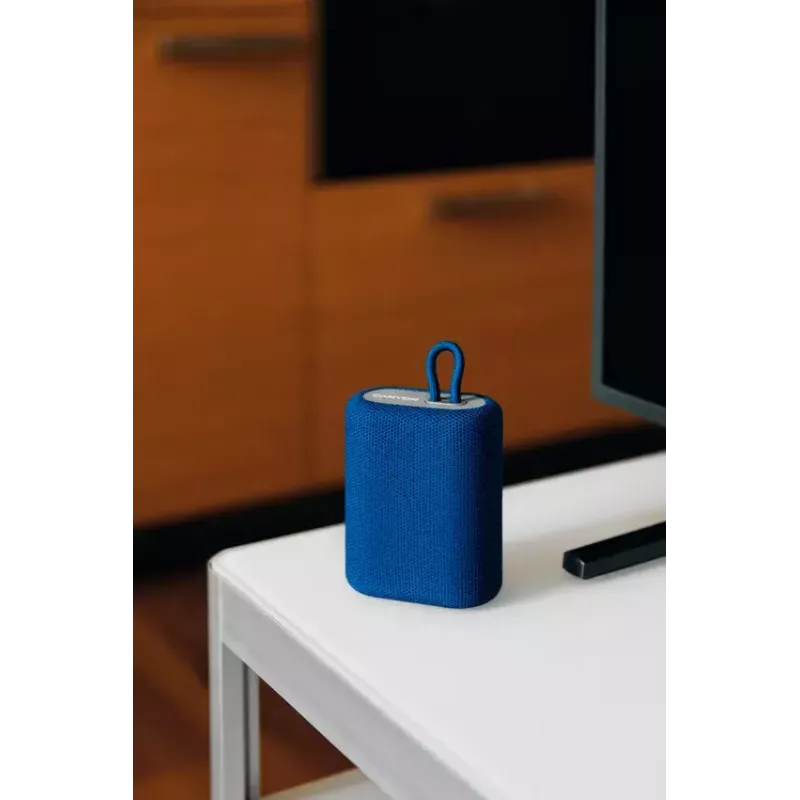 Canyon BSP-4 Stereo Portable Speaker Blue