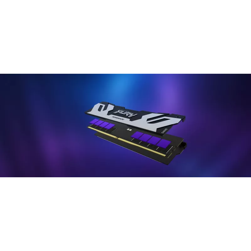 Kingston Technology FURY 32GB 6400MT/s DDR5 CL32 DIMM Renegade Silver XMP