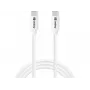 Sandberg USB-C USB-C 65W 1M SAVER, 1 m, USB C, USB C, USB 2.0, White