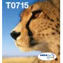 Epson Multipack 4-colours T071 EasyMail, Standard Yield, Black, Cyan, Magenta, Yellow, 7.4 ml, 5.5 ml, 1 pc(s), Multi pack