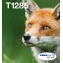Inkjet multipack ink cartridges Epson Fox T128 EasyMail — 4 colours (Black 5.9 ml; Cyan/Magenta/Yellow 3.5 ml)