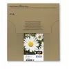 Epson Daisy Multipack 4-colours 18XL EasyMail, High (XL) Yield, Black, Cyan, Magenta, Yellow, 11.5 ml, 6.6 ml, 1 pc(s), Multi pack