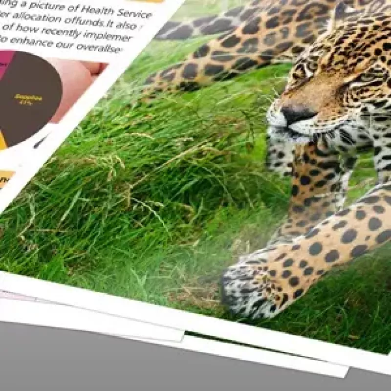 Epson Iron-on-Transfer Paper - A4 - 10 Sheets