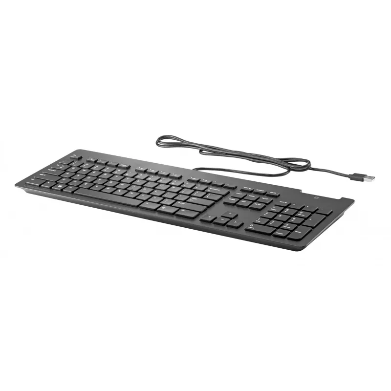 HP STORE 3PL keyboard Home/Office USB QWERTY Black