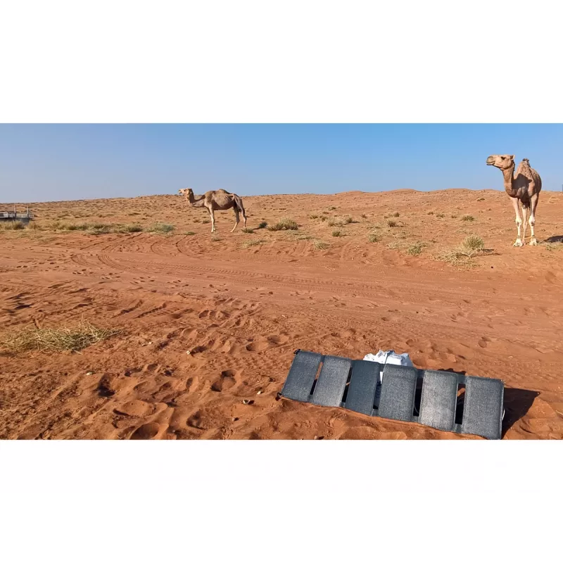Sandberg Solar Charger 40W QC3.0+PD+DC, Outdoor, Solar, Black