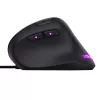 Trust GXT 144 Rexx mouse Gaming Right-hand USB Type-A Optical 10000 DPI