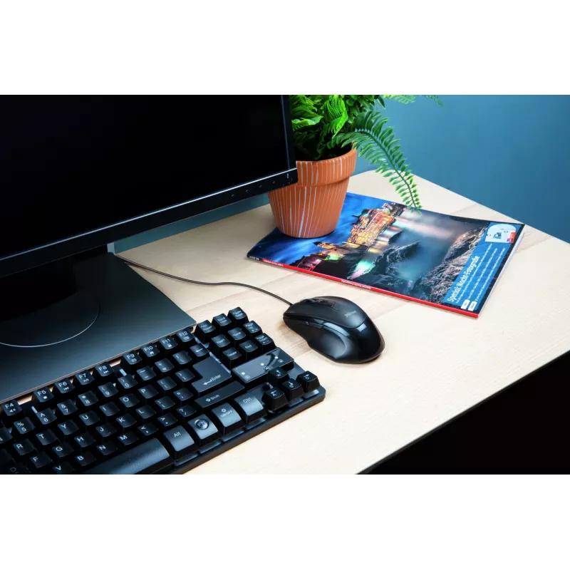 Trust Voca mouse Office Right-hand USB Type-A Optical 2400 DPI