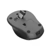 Trust Zaya mouse Office Ambidextrous RF Wireless Optical 1600 DPI
