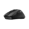 Trust Nito mouse Universal Right-hand RF Wireless Optical 2200 DPI