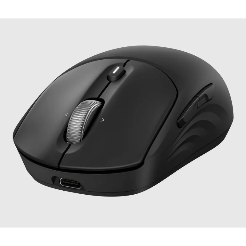 HP 700 Rechargeable Wireless Mouse, Ambidextrous, RF Wireless + Bluetooth, 6000 DPI, Black