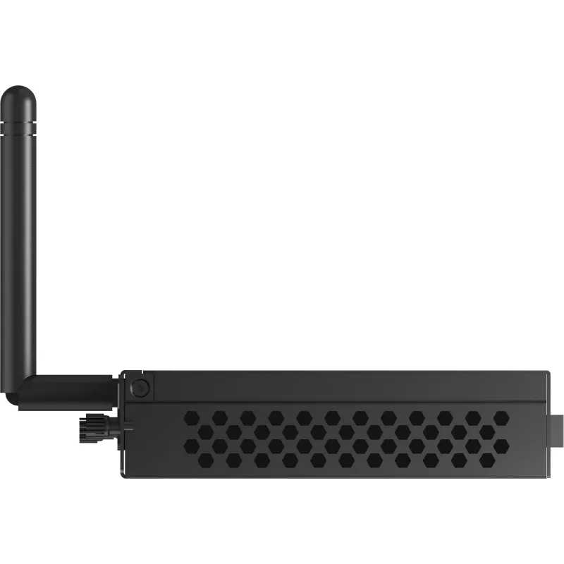 iiyama OPC51204BC-1 PC/workstation Intel® Core™ i5 i5-12450H 8 GB DDR4-SDRAM 256 GB SSD Windows 11 IoT Enterprise Mini PC Black