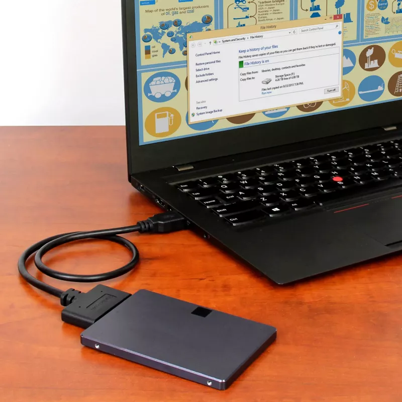 StarTech.com USB 3.1 to 2.5 inch SATA Hard Drive Adapter - USB 3.1 Gen 2 10Gbps with UASP External HDD/SSD Storage Converter